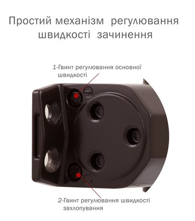 Дотягувач накладний RYOBI 2000 D-2055V DARK_BRONZE BC UNIV_ARM EN_3/4/5 до_100кг 1250мм FIRE