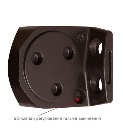 Дотягувач накладний RYOBI 2000 D-2055V DARK_BRONZE BC UNIV_ARM EN_3/4/5 до_100кг 1250мм FIRE